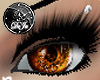 rD mirror eyes amber