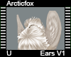 Arcticfox Ears V1