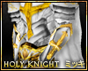 ! Holy Knight Gauntlets