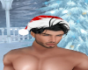 [L] Xmas Hat/Hair