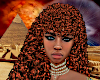 Curly Cleopatra 130