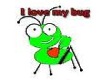 I love my bug