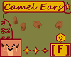 Camel Ears [F]