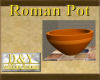 DY Roman Pot