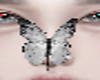 C_White Anim Butterfly