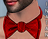 Bow Tie With Detail R.