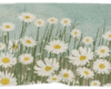 cutout daisy flower