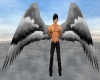 ~DzB~ Arch Angel Wings