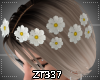 Zt-Hair White Flower