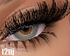 Lashes