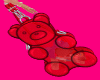 Red Teddy Bear BP