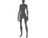 E; Skink Scaler