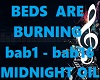 ER- BEDS ARE BURNING