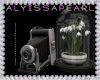 :A: MODEL Camera Decor