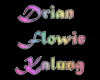 Custom Drian - Flowie