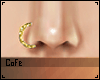 Gold Nose Ring - R