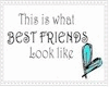 BEST FRIENDS BLUE