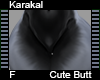 Karakal Cute Butt F