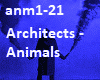 Architects - Animals