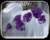 -slov- maidens rose purp