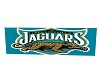 bc's Jaguars Banner
