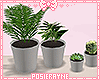 ♥ Home Plants