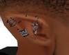 Star Pierced Ears BLACK