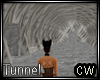 Tunnel Add On Room
