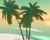 Beach Summer Palms