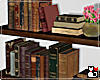 *HOME Old Book Shelves
