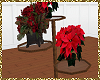 Exclusive Holiday Plants