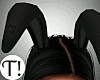 T! Bunny Floppy Ears
