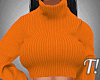T! Fall Orange Sweater