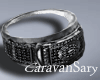 C] Silver Ring LRF