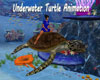 Underwater Turtle anime