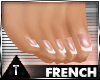 [txc] French Feet Dainty