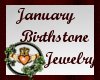 ~BS~January Necklace