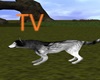 TV> Animated Wolf V2