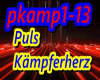pkamp1-13/Puls