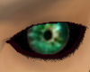 [SaT]Green eyes2