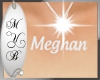 *Y* Meghan Necklace