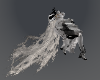 veil+