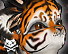 OrangeCream Tiger Fur M