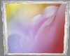 Abstract Floral Pic~