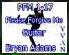 Guitar Please Forgive Me