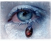 -les-larmes-aux-yeux