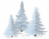 3 Cluster Winter Pines