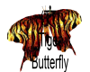 (TT) Tiger Butterfly