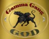 Gamma Gang Chain