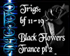 BLack Flowers pt 2